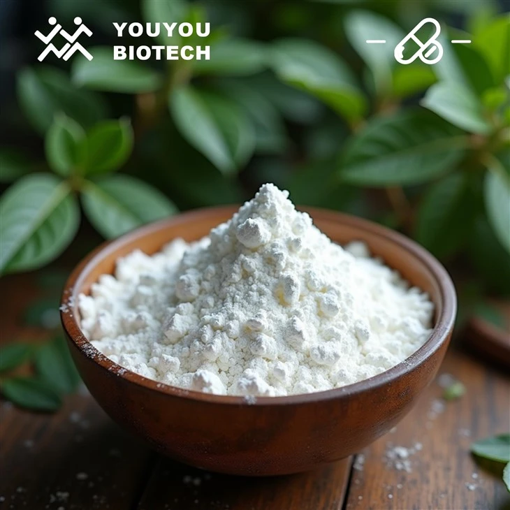 Wheat Germ Extract Spermidine